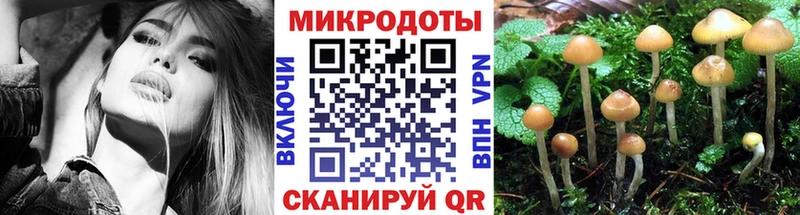 Купить  Дедовск  Псилоцибиновые грибы Magic Shrooms 